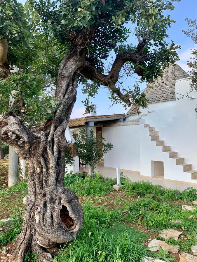 Trullo Labellavita Putignano Exteriér fotografie