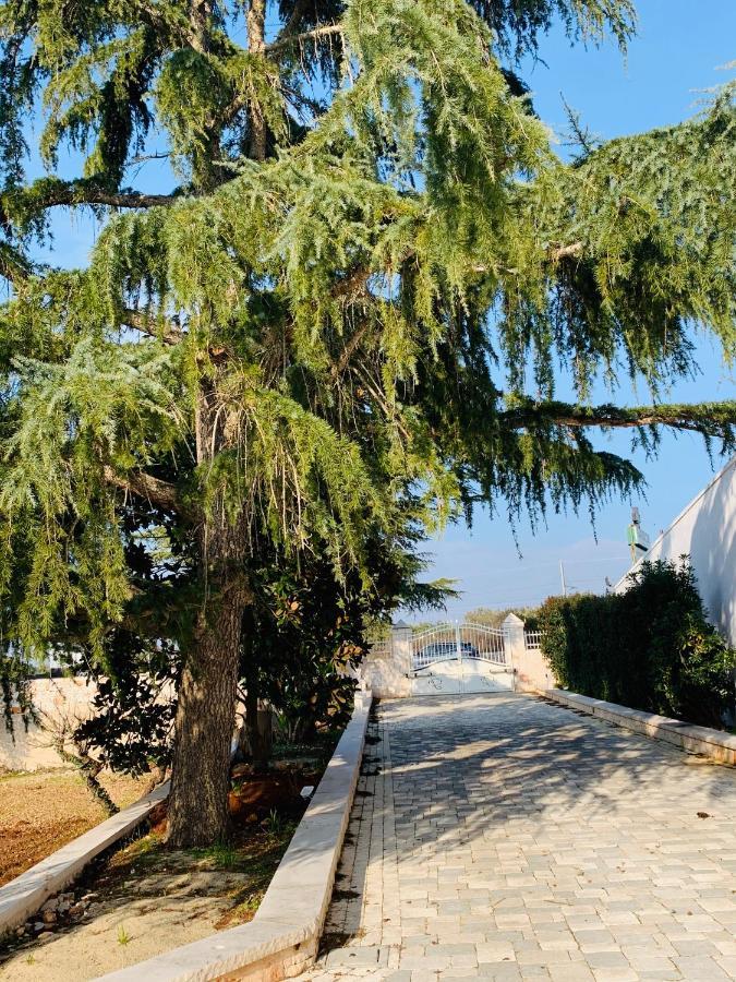 Trullo Labellavita Putignano Exteriér fotografie
